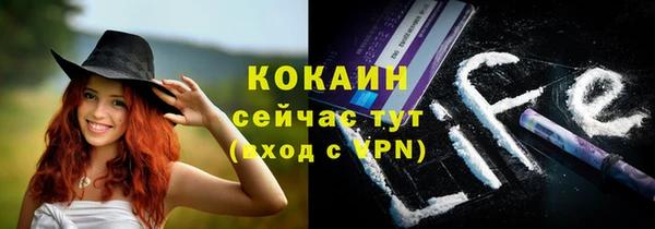 2c-b Пестово