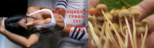 2c-b Пестово