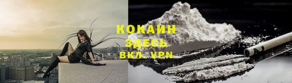 2c-b Пестово