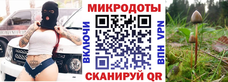 Галлюциногенные грибы прущие грибы  darknet клад  Печоры  купить наркотики сайты 